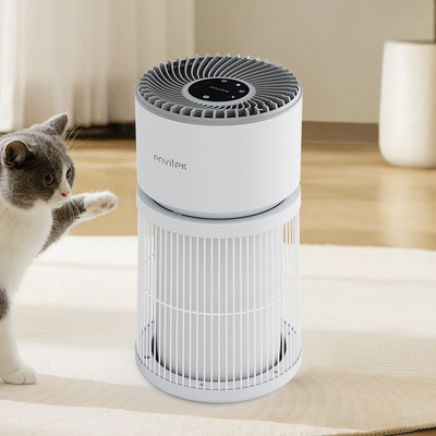 comprar Purificador de aire de consumo de humo Hepa certificado por LVD para el olor a humo PM2.5 Fabricación en línea