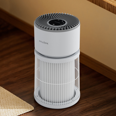 comprar Nuevo limpiador de diseño 3 en 1 True HEPA Filter Purificador de aire para mascotas Fabricación en línea